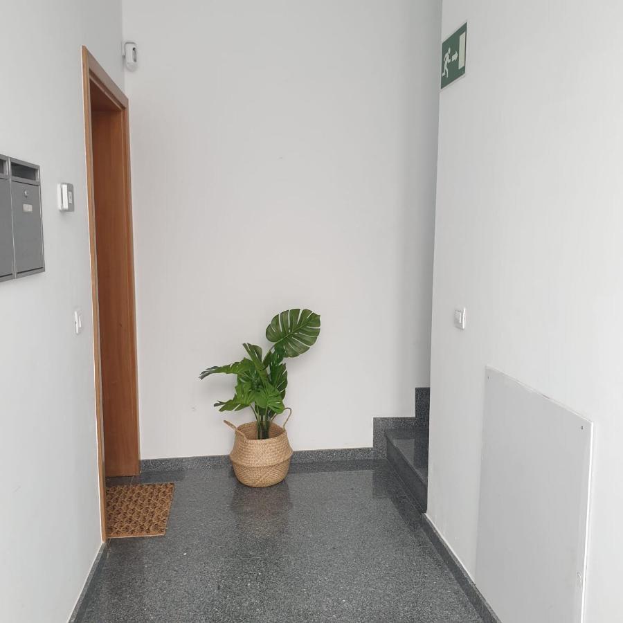 City Suite Las Palmas de Gran Canaria Extérieur photo